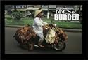 Bikes of