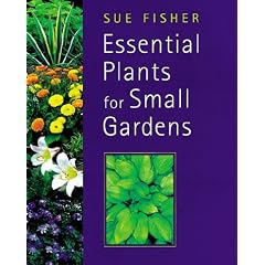 Essential Plants for Small Gardens