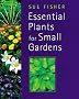 Essential Plants for Small Gardens