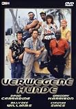 Verwegene Hunde - David Carradine