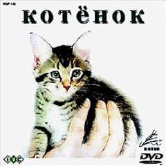 ���˂�~������`�O���[�V��~ [DVD]