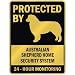 PROTECTED BY  AUSTRALIAN SHEPHERD HOME SECURITY SYSTEM  PARKING SIGN DOG