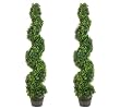 TWO 4' Pond Boxwood Spiral Topiary in Plastic Pot Green