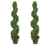 TWO 4' Pond Boxwood Spiral Topiary in Plastic Pot Green