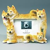 Shiba Inu - 4x6 Picture Frame