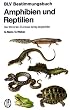 Amphibien und Reptilien. Die 169 Arten Europas farbig abgebildet