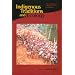 Indigenous Traditions and Ecology: The Interbeing of Cosmology and Community (Religions of the World and Ecology)