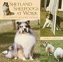Shetland Sheepdogs at Work: Achievements, Breeding, Training