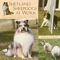 Shetland Sheepdogs at Work: Achievements, Breeding, Training