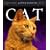 Cat Gallery Calendar 2010