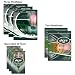 Turner NFL New York Jets Nondated Combo Pack (8140333)