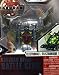 Bakugan Deluxe Electronic Battle Gear Darkus Black Airkor
