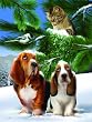 MINI - Looking for Trouble Mini 7x9 100pc Jigsaw Puzzle by Tom Wood