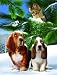 MINI - Looking for Trouble Mini 7x9 100pc Jigsaw Puzzle by Tom Wood