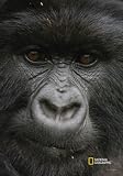 National Geographic by New Creative - Gorilla Garden Impressions Flag