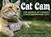 Cat Cam: The World of Cooper the Photographer Cat