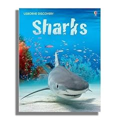 Sharks (Usborne Discovery)