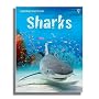 Sharks (Usborne Discovery)