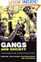 Gangs and Society