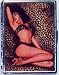 Retro Hand Made LEOPARD BIKINI Billfold / ID Holder Cigarette Case