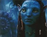 Zoe Saldana Signed Avatar 8x10 #1