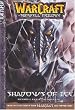 Shadows of Ice (WarCraft: The Sunwell Trilogy, Book 2)