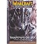 Warcraft: v. 2 Shadows of Ice (Warcraft: The Sunwell Trilogy)