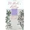 Historical Role of Women Healers