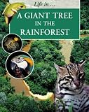 Cover of A Giant Tree in the Rainforest by Sally Morgan 1841389382