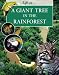 A Giant Tree in the Rainforest (Life in a ...)