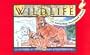 Glacier National Park Wildlife: A Coloring Postcard Book (Coloring Postcard Books (Globe Pequot Press))