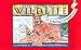 Glacier National Park Wildlife: A Coloring Postcard Book: Coloring Postcard Books 