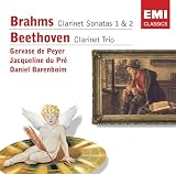 Review Encore  / Beethoven - Clarinet Trio; Brahms - Clarinet Sonatas