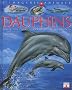 Dauphins