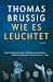 Wie es leuchtet: Roman