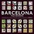Barcelona Tile Designs (Agile Rabbit Editions)