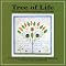 Simple Gifts of Shaker Music