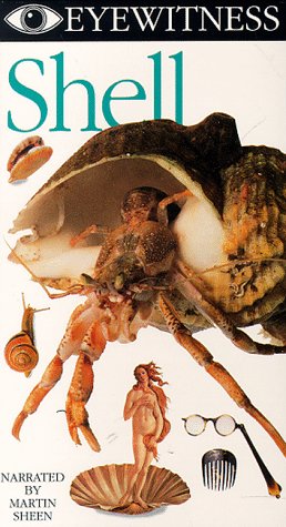 Eyewitness - Shell