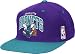 Charlotte Hornets Mitchell & Ness NBA Team Arch Throwback Snap Back Hat