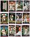2006 Topps Washington Nationals Baseball Cards Complete Team Set (21 cards) Including Ryan Zimmerman!