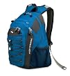 High Sierra Fuel Backpack