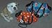Pet Supplies : L.R.I. PET Padded Carrier