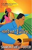 Aint No Valley: A Novel