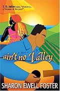 Aint No Valley: A Novel