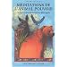 M�ditations de l'animal pouvoir. Voyages chamaniques avec les alli�s esprits