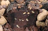 My Grandma's Ted Williams All Star Chocolate Coffee Cake