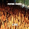 Image of album by Peatbog Faeries