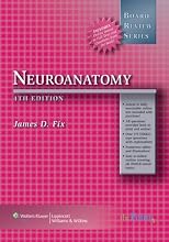 Neuroanatomy