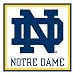 Turner CLC Notre Dame Fighting Irish Note Cube (8080115)