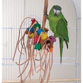 Bird Toy - Wild Series - Bonkers Challenge Toy - Great Toy for Medium to Large Birds
